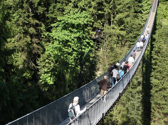 ��������������칫�� - ���ô�--��Ƥ��ŵ���Ź�԰...